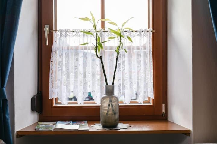 Vanek Apartment Kotschach-Mauthen Екстериор снимка